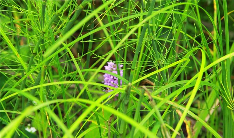 Встреча с бабочкой — Винтажные куклы ГДР (Немки): Бигги