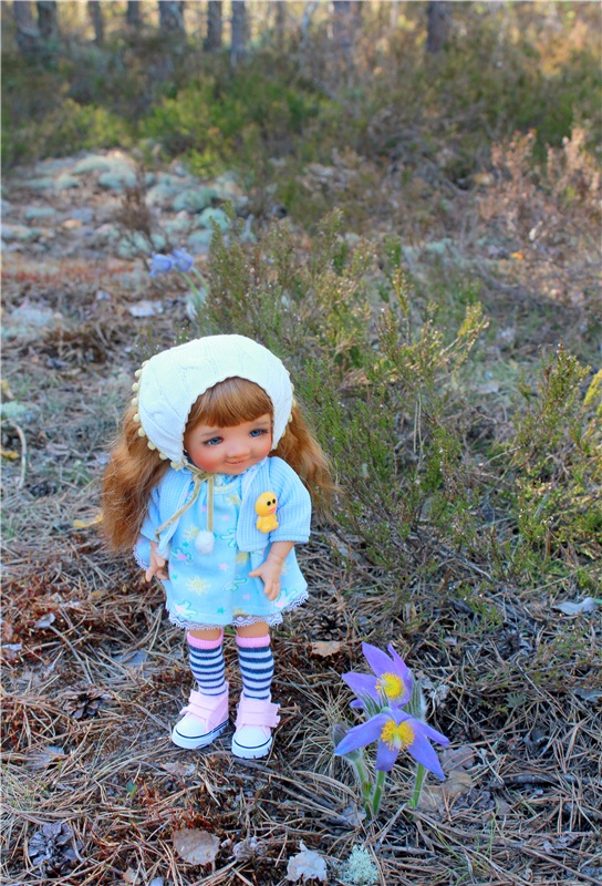 Джиджи на Орше. BJD Gigi от Meadow Dolls (фото 4)