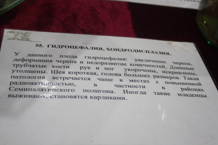 Псков: Петербургская Кунсткамера у нас в гостях. СТРОГО 18 +