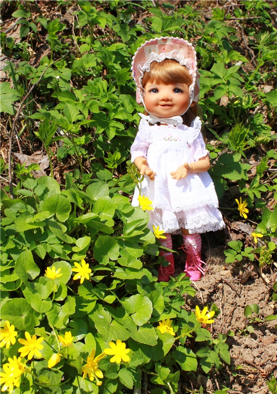 Джи и Городенка. BJD Gigi от Meadow Dolls (фото 3)