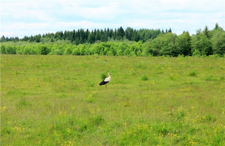 Путешествие с Бенни — Культура (фото 4)