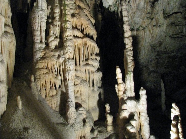 Незабываемая экскурсия по Словении: Постойная Яма и Предъямский замок (фото 10)