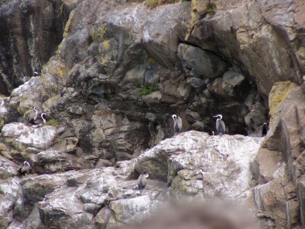 Увлекательное путешествие по Новой Зеландии