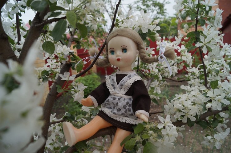 Вы любите топики про лечение кукол? Тогда вам сюда