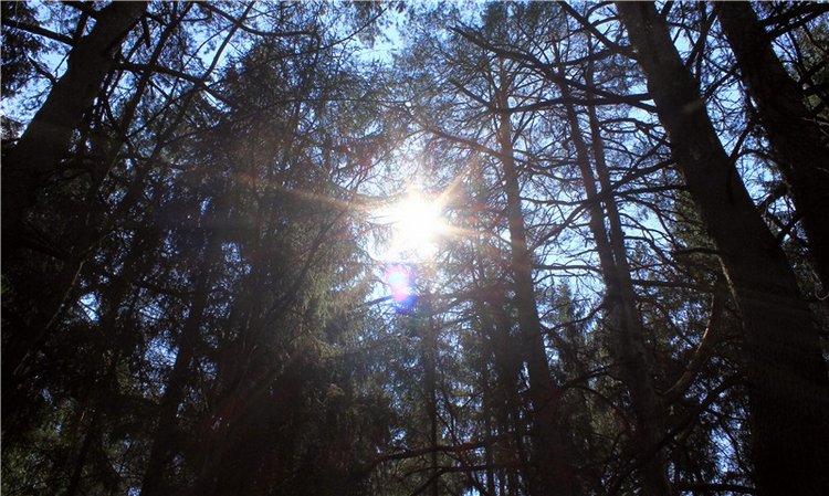 Савватьева Пустынь, Тверская область