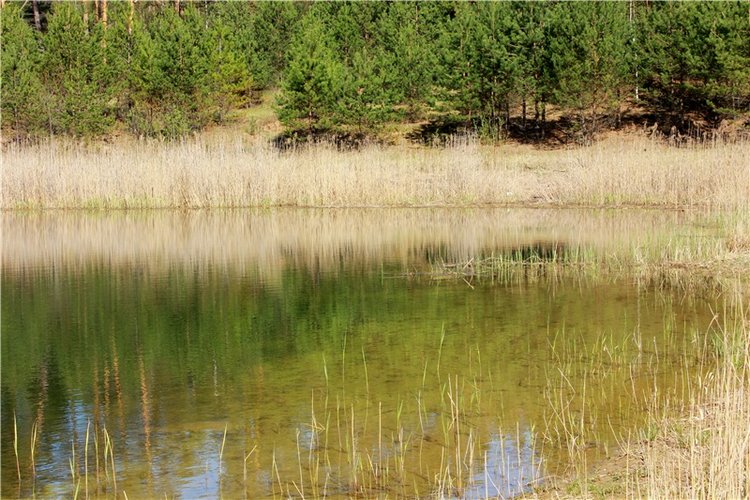 Долгая дорога к Волге. Custom Blythe Doll UFO Go Go Takara