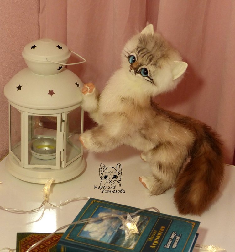 Котенок породы : Невский Маскарадный, окрас сил тэбби пойнт (фото 5)