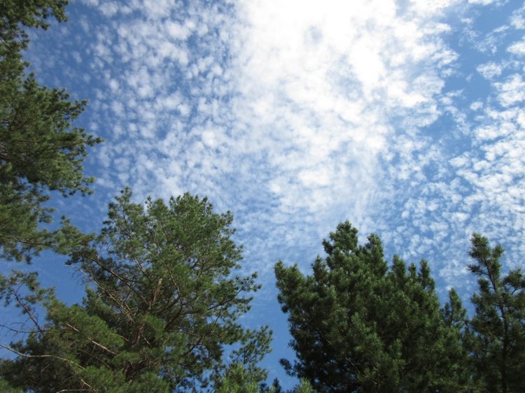 Горячее солнышко Кисловодска