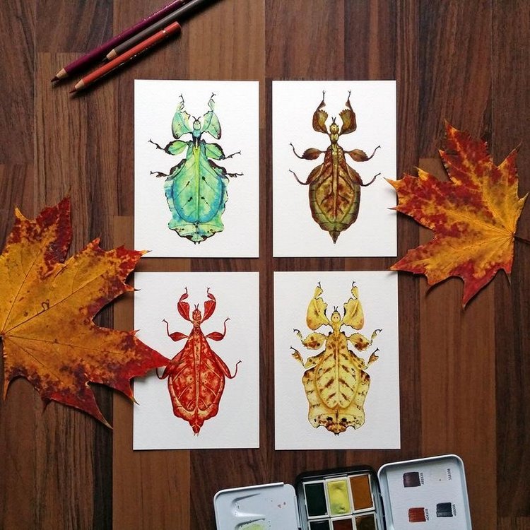 SnailMaidenStudio - Акварельные иллюстрации маленьких живых существ