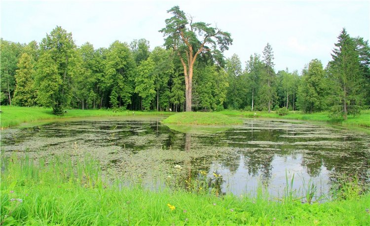 Путешествие Виолы в Усадьбу Знаменское-Раёк