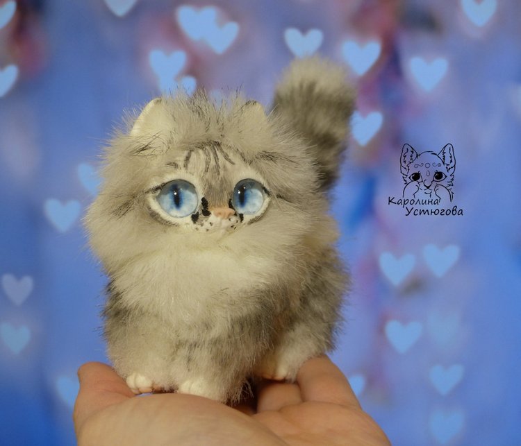 Котята Охос азулес. Чарующие глаза