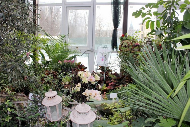 Тверской Ботанический Сад, продолжение | Бэйбики Тверской Ботанический Сад, продолжение