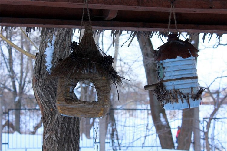 Тверской Ботанический Сад, заключительная часть