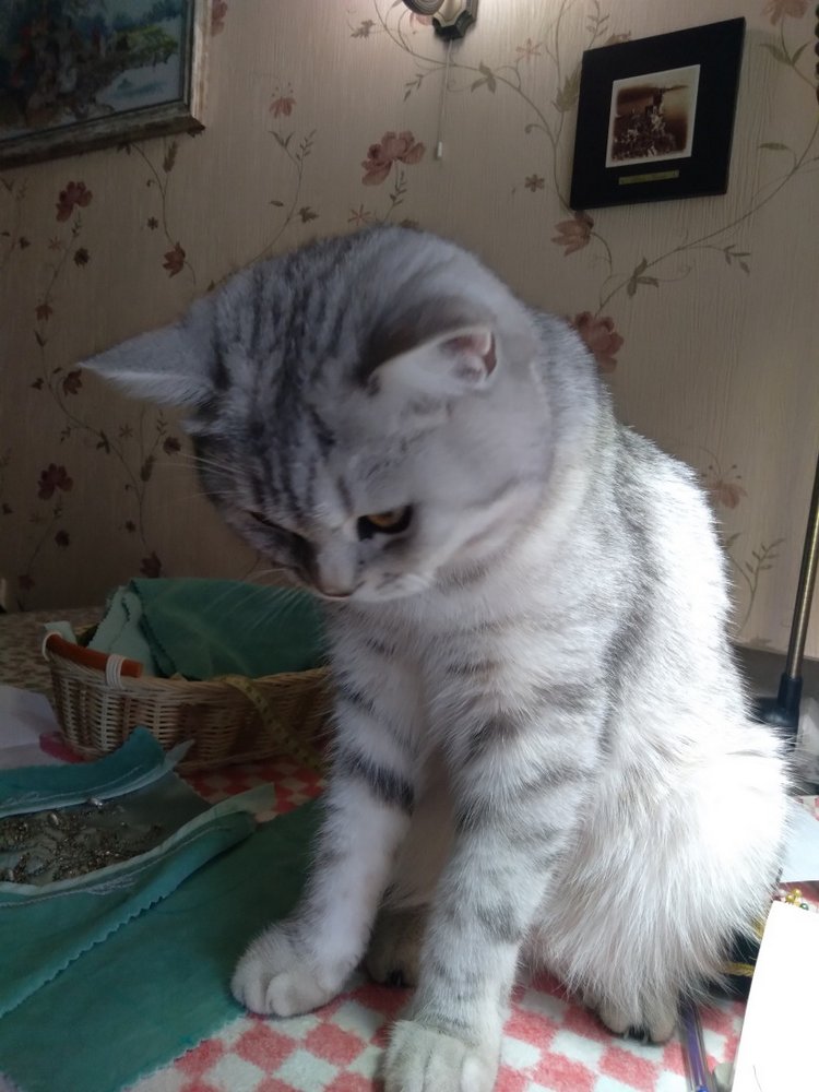 Гостей с такими подарками надо гнать поганой метлой! Или не надо