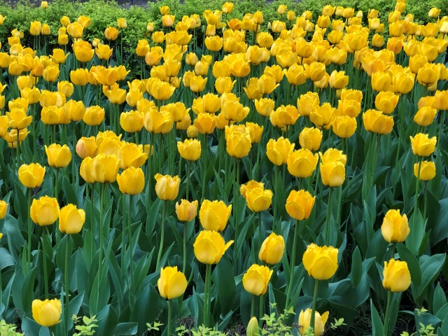 Тони Старк: приключения без брони. Был месяц май, половина вторая (фото 10)