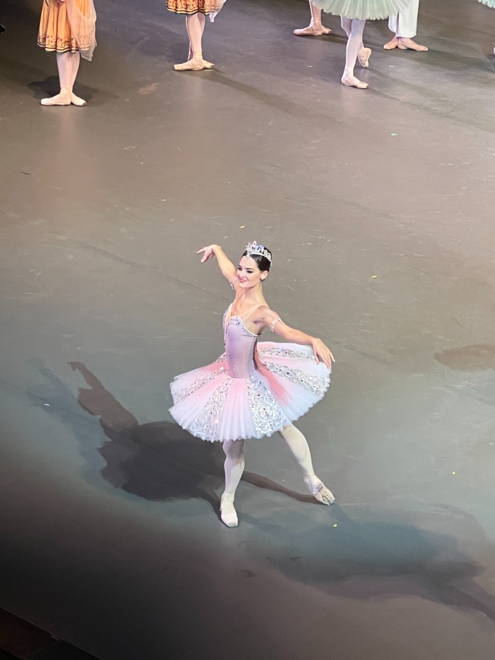 Баядерка. Большой театр — Болталка и разговоры обо всем: жизнь (фото 5)