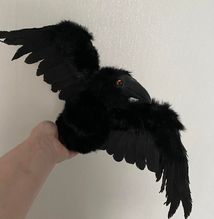 Ворон — Игрушки в смешанной технике (мех и глина): Арт