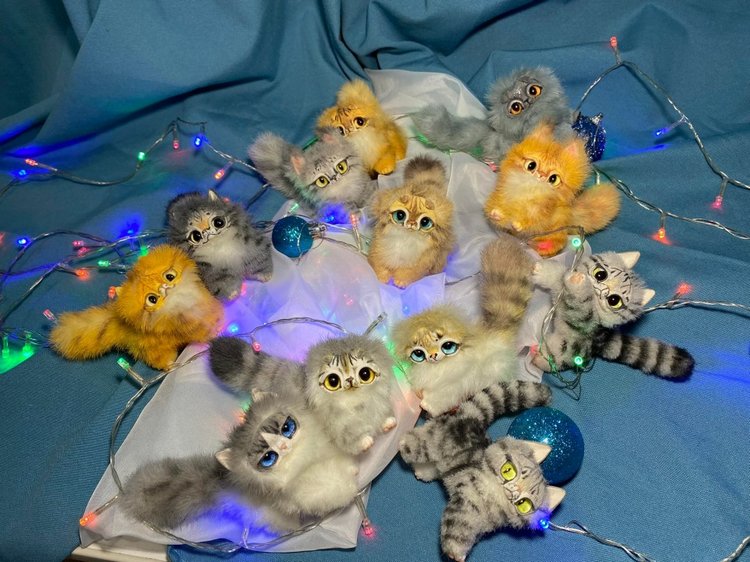 Котята и подготовка к новому году (фото 9)