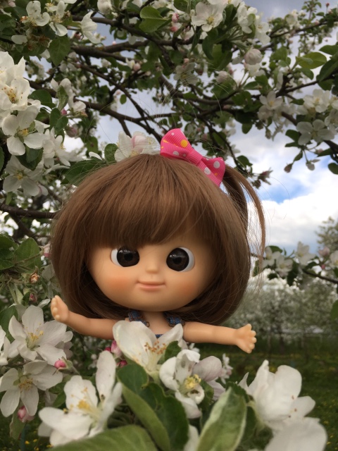 Поездка на дачу с Mui-chan, Migliorati и Sonny angel