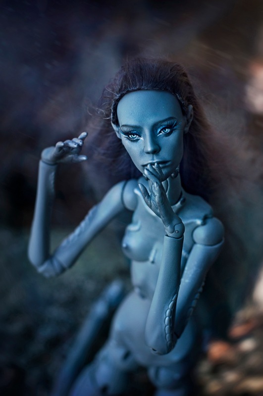 Музыка ветра — Домашние фото авторских кукол: личные коллекции (фото 4)