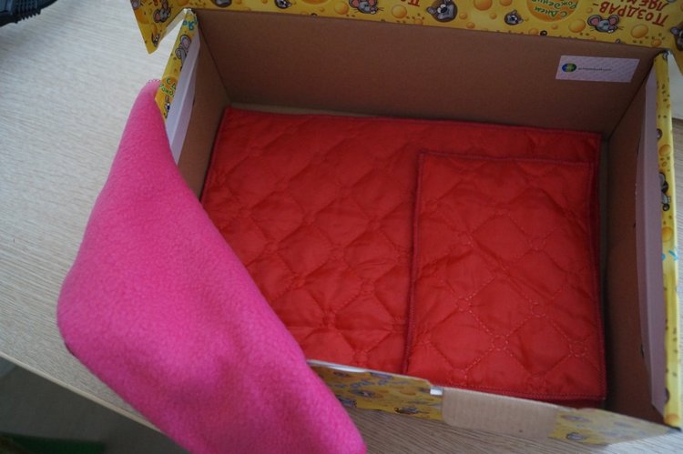 Как Агаша Басика сшила — Кот Басик