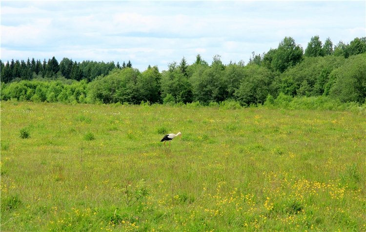 Путешествие с Бенни — Культура (фото 6)