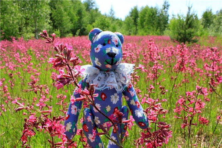 Малиновый Июнь, продолжение. BJD Gigi от Meadow Dolls (фото 3)