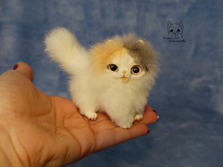 Три котенка Джейн, Пирожок и Апельсинчик