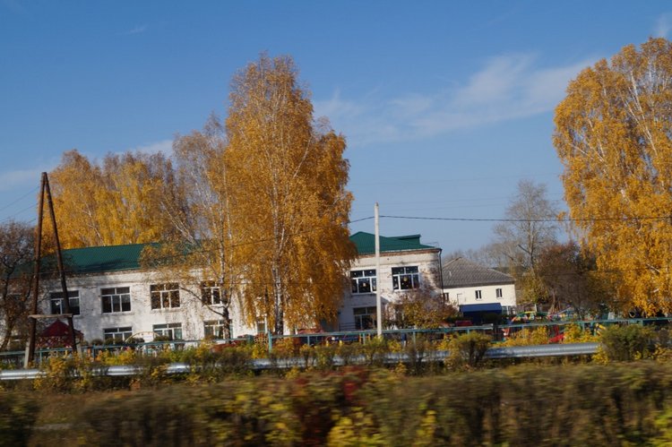 Хотите прогуляться по нашему городу? А за город - по экологической тропе