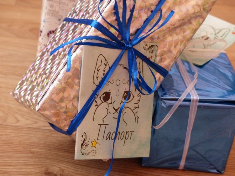 Новогодняя упаковка, провожаем в путь зверяток. Разные фотографии