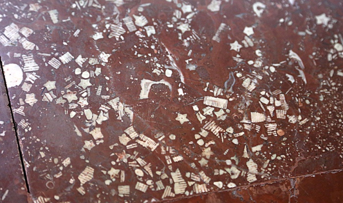 Звероящер и узоры времён динозавров в Московском метро