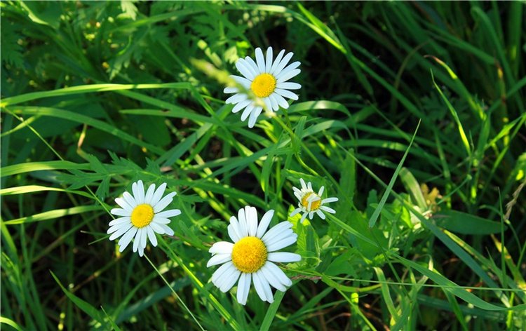 Путешествие Эли на красивый берег реки Волги