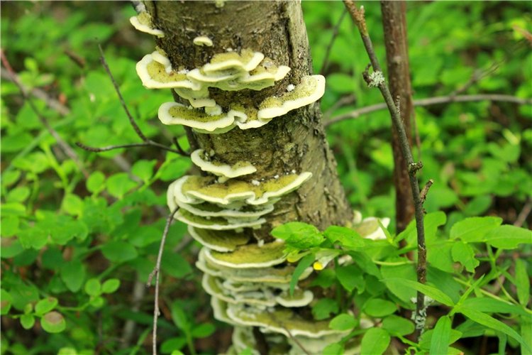 Путешествие Эли на красивый берег реки Волги (фото 8)