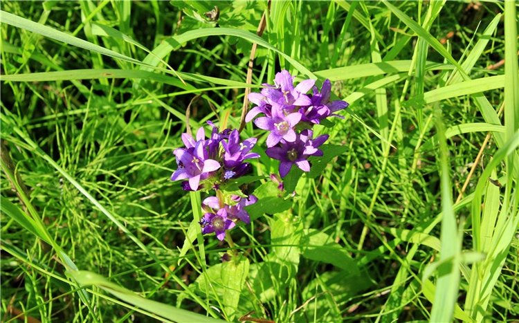 Путешествие Эли на красивый берег реки Волги