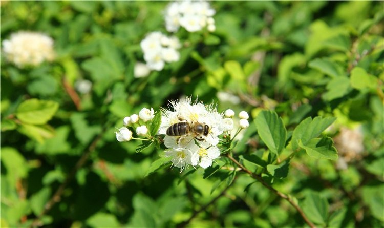 Сентябрьское путешествие в Старицу, третья часть