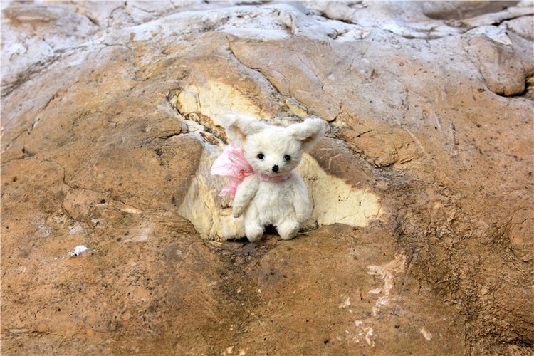 Сентябрьское путешествие в Старицу, заключительная часть