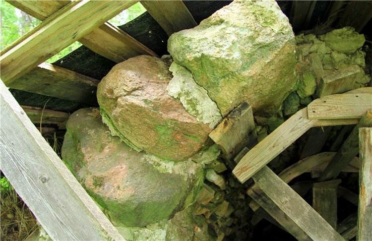 Путешествие Виолы в Усадьбу Знаменское-Раёк