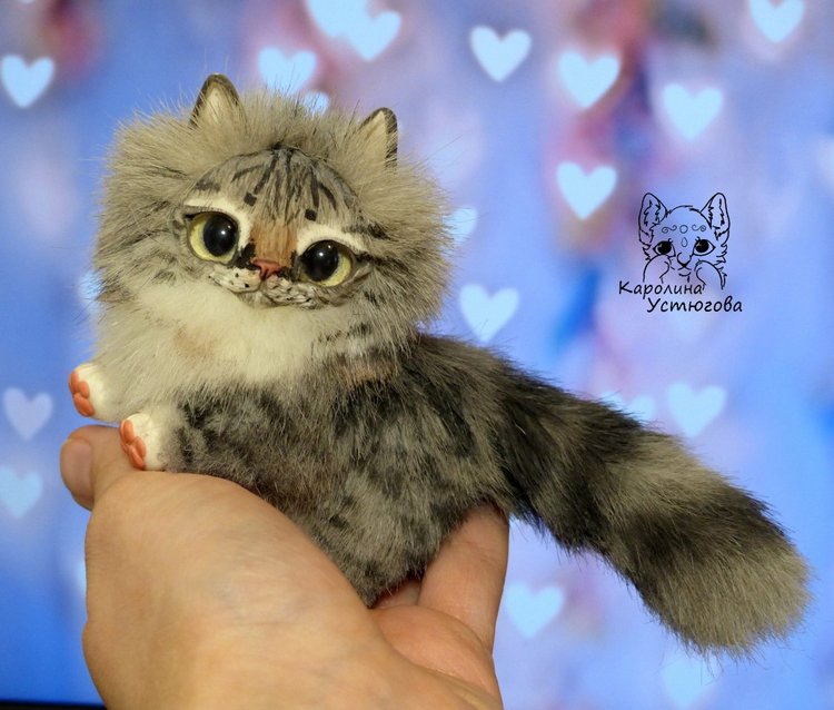 Котята Сибирской породы Табби и Мраморный биколор