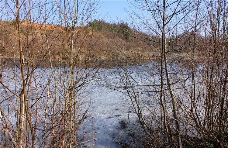 Имани и Водопад — Куклы Kaye Wiggs (Кайе Виггс): авторские BJD (БЖД) (фото 2)