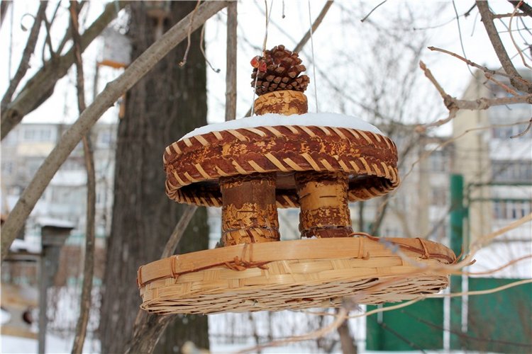 Тверской Ботанический Сад, заключительная часть (фото 7)