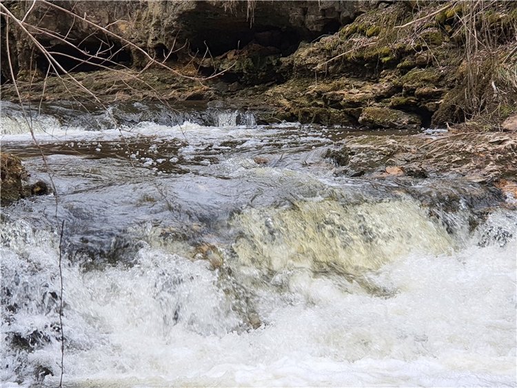 Путешествие Имани в ПанИку