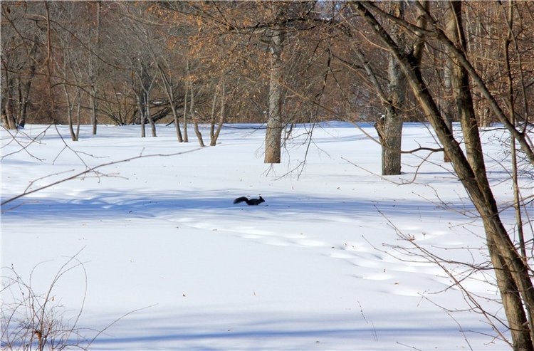 Снежный Март — Туризм и путешествия: фотоотчеты из поездок