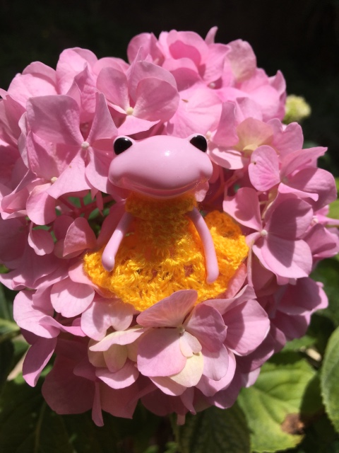 Таша Wonderfrog в Черногории (фото 8)