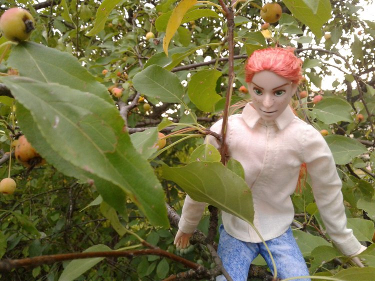 Кто же там, в малиннике — Куклы и тела Obitsu (Обитсу): 1/6