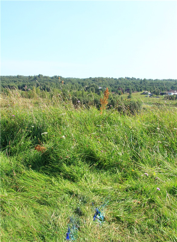 Инопланетянка Нийя. Custom Blythe Doll UFO Go Go Takara