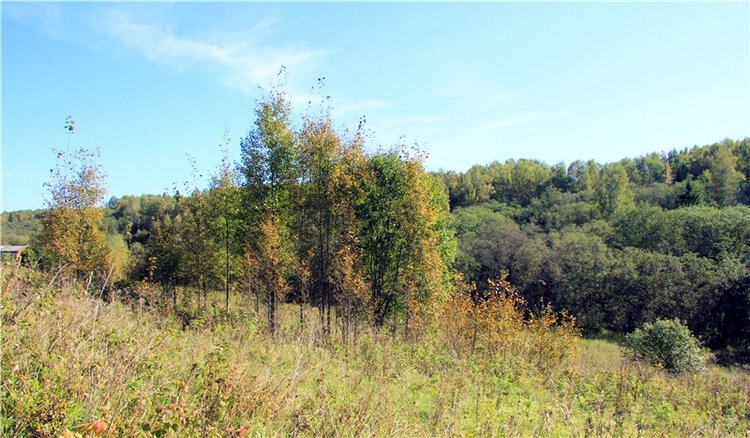 Старицкая Швейцария. Старицкие пещеры, д. Толпино, заключительная часть (фото 9)