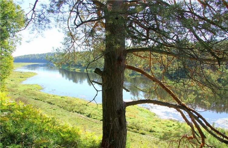 Старицкая Швейцария. Старицкие пещеры, д. Толпино, заключительная часть