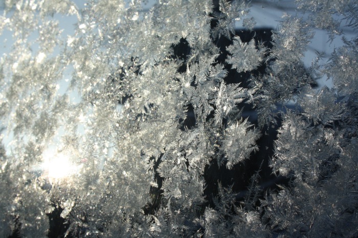 Московские каникулы. Часть 1