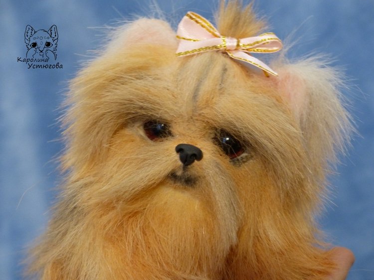 Щенок Йоркширского терьера (фото 10)