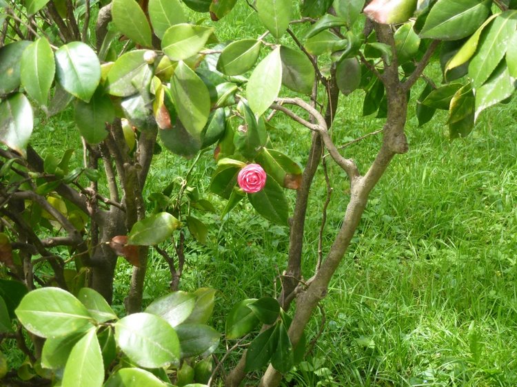 Сочи-Адлер: Южное Взморье - Мои любимые куколки на отдыхе